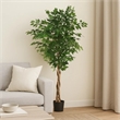 Benjara Deso Artificial Ficus Tree- Green Leaves w Twisted Trunk- 71 Inch