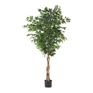 Benjara Deso Artificial Ficus Tree- Green Leaves w Twisted Trunk- 71 Inch