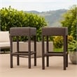 Benjara Outdoor Barstool Set of 2- Industrial Style Dark Brown Rattan Woven