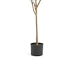 Benjara Zylo Faux Tree Eucolites Plant- 59 Inch- Green Polyester