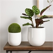 Benjara Womy Tall Decorative Planters Set of 2- Gloss White Ceramic 18 30 Inch