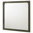 Benjara Seon Dresser Mirror- Portrait Dark Cocoa Brown Hardwood Frame- 36 Inch