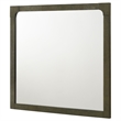 Benjara Seon Dresser Mirror- Portrait Dark Cocoa Brown Hardwood Frame- 36 Inch