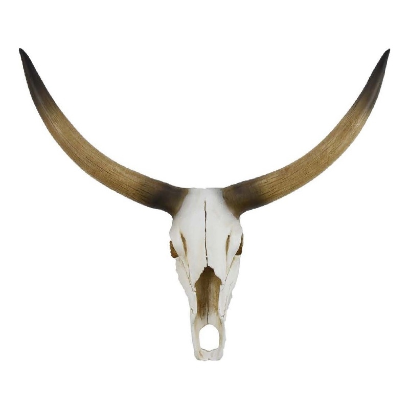 Benjara Kriya Sculpture- Longhorn Bull Skull Curved Horns- White Resin 19 Inch