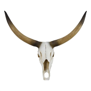 Benjara Kriya Sculpture- Longhorn Bull Skull Curved Horns- White Resin 19 Inch