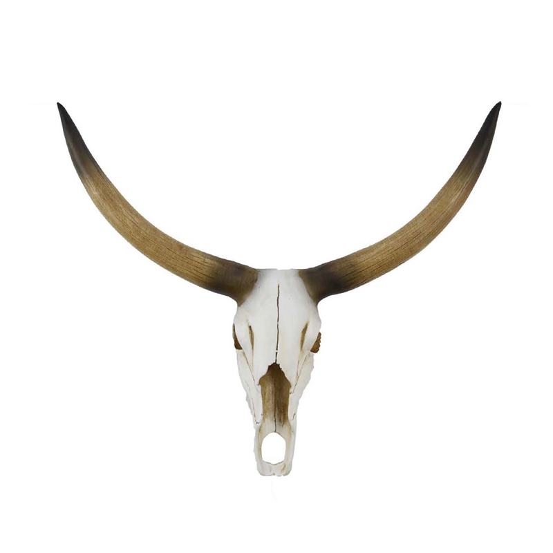 Benjara Kriya Sculpture- Longhorn Bull Skull Curved Horns- White Resin 19 Inch