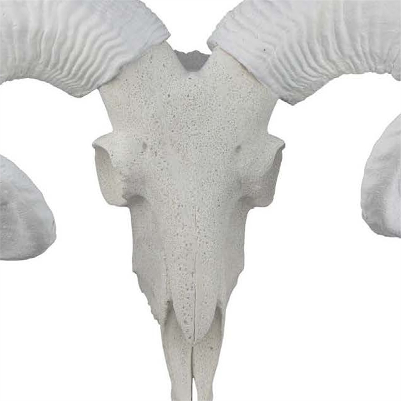 Benjara Mitch Bighead Sheep Ram Sculpture w Curved Horns- White Resin 16 Inch