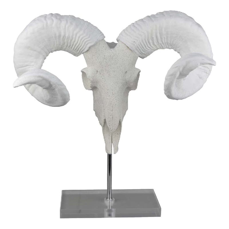 Benjara Mitch Bighead Sheep Ram Sculpture w Curved Horns- White Resin 16 Inch