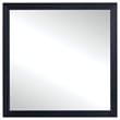 Benjara Dex Rectangular Dresser Mirror- Non-Beveled Glass- Black Wood-Melamine