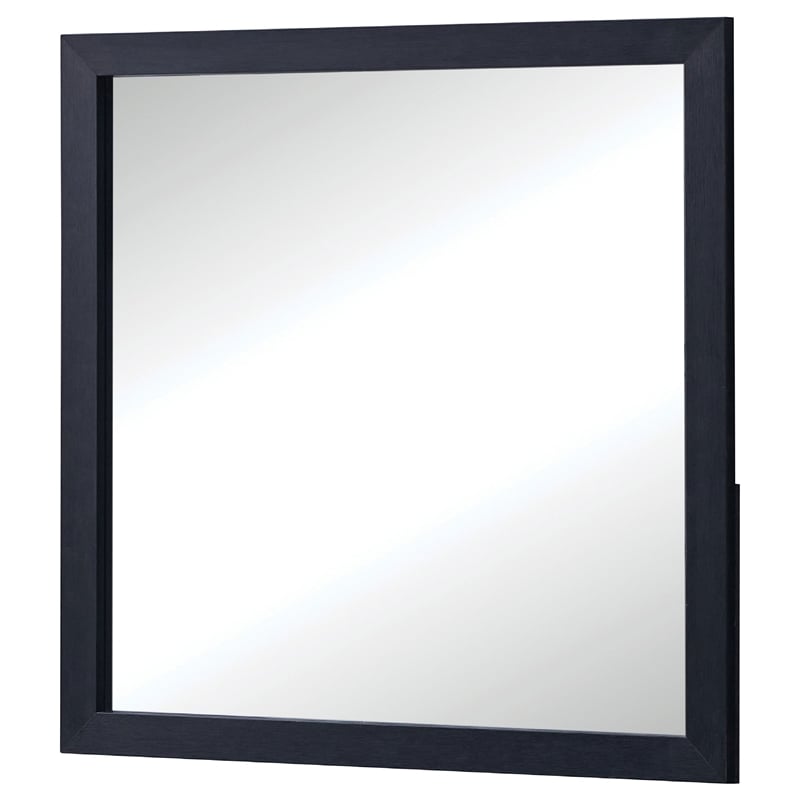 Benjara Dex Rectangular Dresser Mirror- Non-Beveled Glass- Black Wood-Melamine