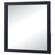 Benjara Dex Rectangular Dresser Mirror- Non-Beveled Glass- Black Wood-Melamine