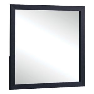 Benjara Dex Rectangular Dresser Mirror- Non-Beveled Glass- Black Wood-Melamine
