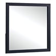 Benjara Dex Rectangular Dresser Mirror- Non-Beveled Glass- Black Wood-Melamine