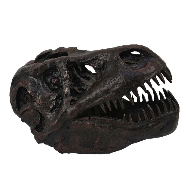 Benjara T Rex Skull Decor- Fossil Inspired Dark Brown and Black Resin- 13 Inch