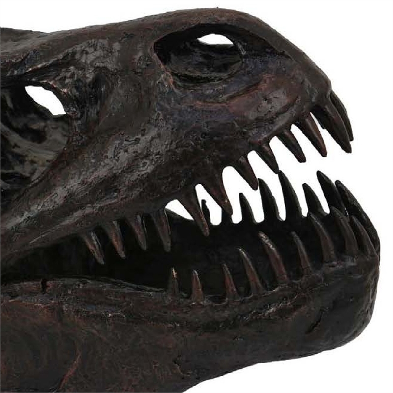 Benjara T Rex Skull Decor- Fossil Inspired Dark Brown and Black Resin- 13 Inch