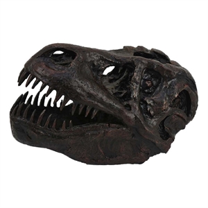 Benjara T Rex Skull Decor- Fossil Inspired Dark Brown and Black Resin- 13 Inch
