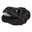 Benjara T Rex Skull Decor- Fossil Inspired Dark Brown and Black Resin- 13 Inch