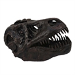 Benjara T Rex Skull Decor- Fossil Inspired Dark Brown and Black Resin- 13 Inch