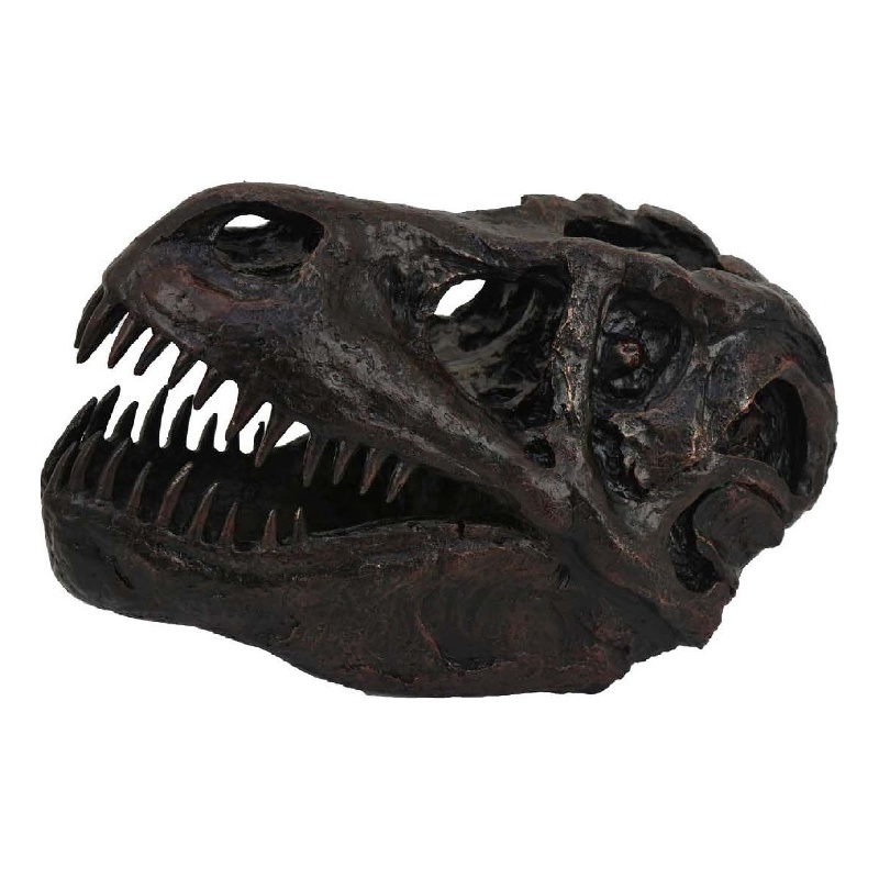 Benjara T Rex Skull Decor- Fossil Inspired Dark Brown and Black Resin- 13 Inch