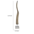 Benjara Linaa Decorative Antler Horn- Brown Resin Clear Acrylic Base- 32 Inch