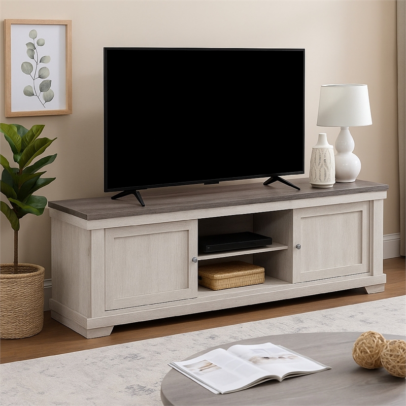 Benjara Leya TV Stand Media Cabinet- 2 Doors- 2 Shelves- Cable Cut Gray Wood