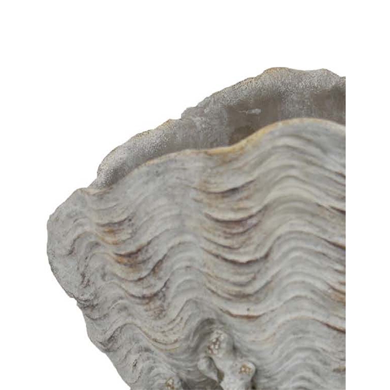 Benjara Coastal Clam Shell Planter w Coral Accents- Weathered Gray Terracotta