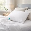 Benjara 20x28 Down Alternative Swan Washable Standard Pillow
