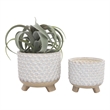 Planter with Textured Design and Footed Base- Set of 2- Off White