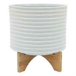 Flower Pots / Planters