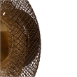 14 Inch Round Wall Mounted Lamp- Iron Mesh and Hardware- Gold Finished