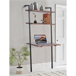 Industrial 3 Tier Mango Wood Ladder Storage Wall Shelf with Tubular Frame- Black