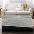 45 Inch Rectangular Mango Wood Coffee Table- Iron Base- Washed White and Black
