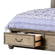 Benjara Queen Size Wooden Bed with 2 Drawers and Panel Headboard- Natural Brown