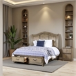 Benjara Queen Size Wooden Bed with 2 Drawers and Panel Headboard- Natural Brown