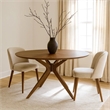 Benjara Contemporary 47
