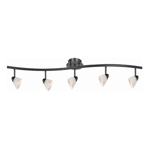 Benjara 5 Light 120V Metal Track Light Fixture with Glass Shade- Black and White