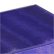 Benjara Jewelry Case with 2 Slots and Earrings Hanger- Blue