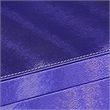 Benjara Jewelry Case with 2 Slots and Earrings Hanger- Blue