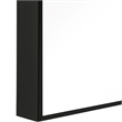 Benjara Rectangular Shape Thin Polystyrene Frame Long Mirror- Black