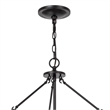 Benjara Chandelier with Metal Bird Cage Pendulum Design- Black