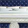Benjara Queen Bed with Button Tufting and Mirror Trim- Black