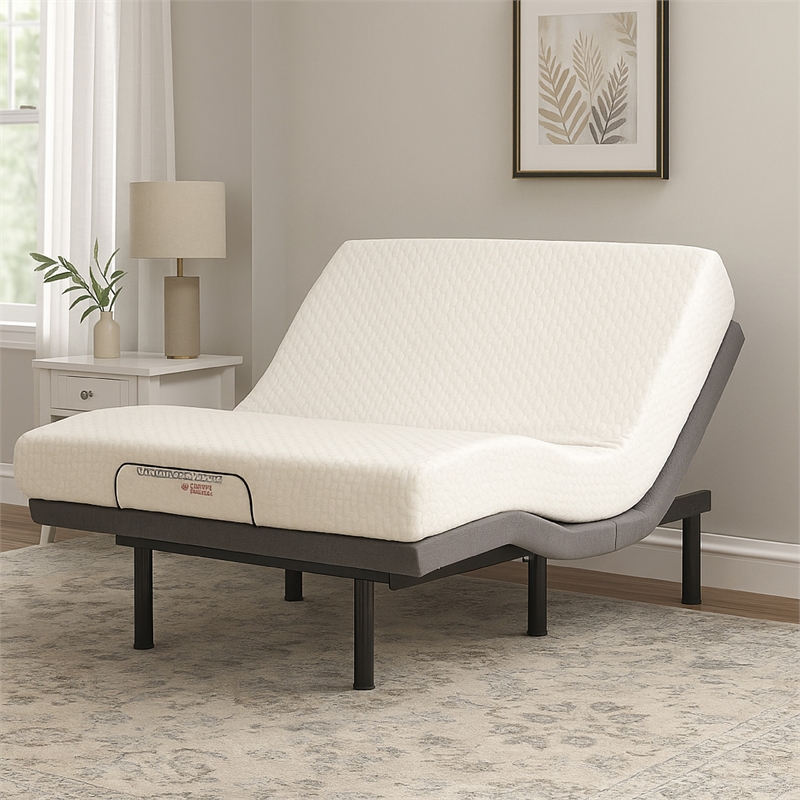 Benjara Liza Adjustable King Bed Base-Wireless Remote Head Foot Incline
