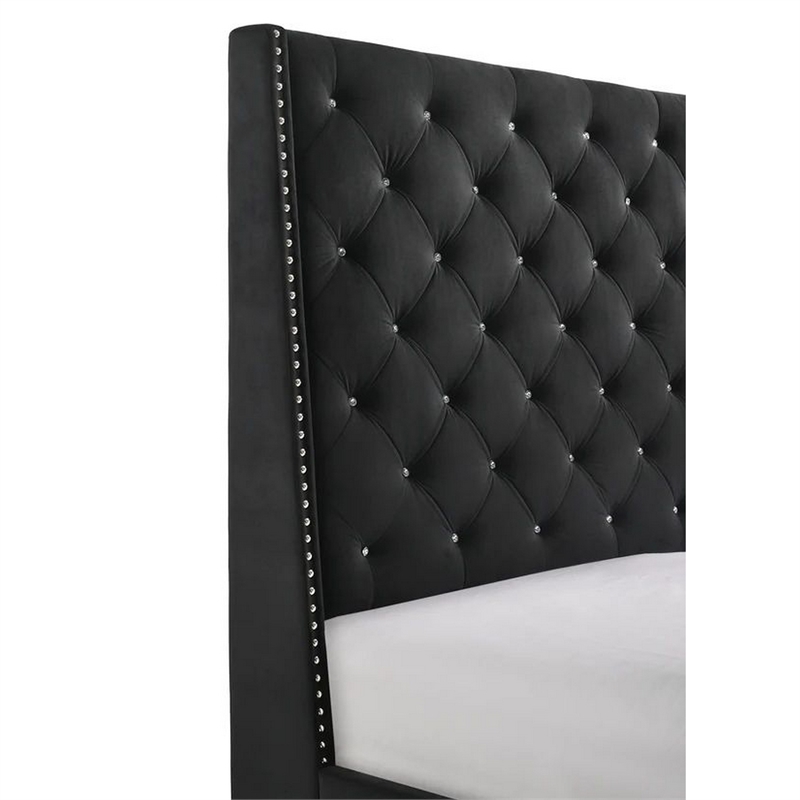 Benjara Toer Queen Size Bed- Tall Wingback Headboard- Black Velvet Upholstery