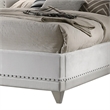 Benjara Dini California King Bed-Crystal Button Tufting-White Velvet Upholstery