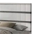 Benjara Peis King Size Bed- LED- Crystal Accents- Modern Design- Glossy White