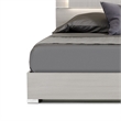 Benjara Cid Aiza Queen Platform Bed- LED Lighted Headboard- Chrome Acrylic- Gray