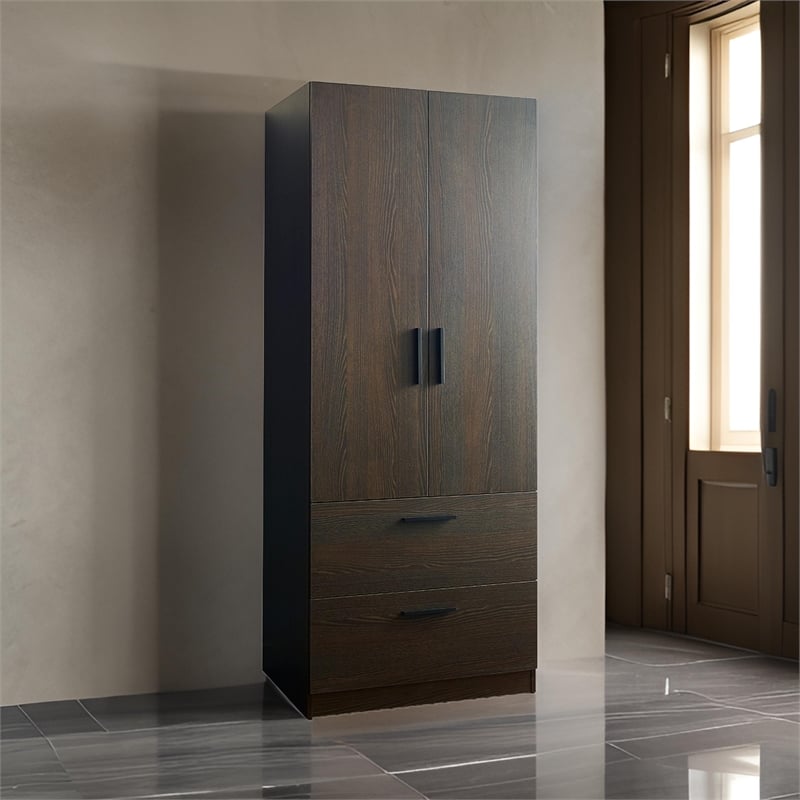 Benjara Beak 2 Door Standing Closet- 2 Drawers and Hanging Bars- Farmhouse Brown