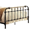 Benjara Metal Eastern King Bed with Gold Accent- Black