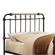 Benjara Metal Eastern King Bed with Gold Accent- Black