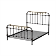 Benjara Transitional Queen Metal Bed- Black and Gold